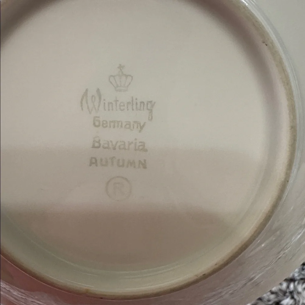 Winterling Bavaria Germany Autumn Leaves Set of 4 Fruit Dessert Bowls 5.5